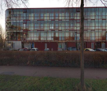 Appartement mansardé de 3 pièces au 41 Koriander, Zwaag - À louer - Photo 4