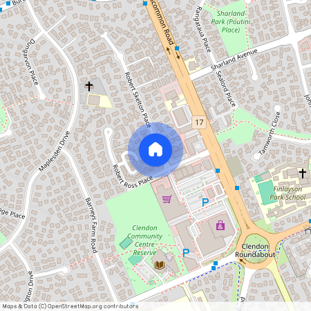 4 Robert Skelton Place, Clendon Park, Manukau City