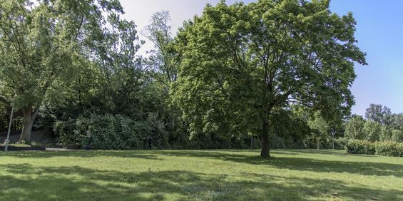 Demnächst frei! 1-Zimmer-Wohnung in Dortmund Scharnhorst - Photo 3