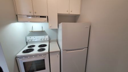 For Lease - 187 Dalhousie Street, Lower Town - Sandy Hill, Ontario - Photo 3