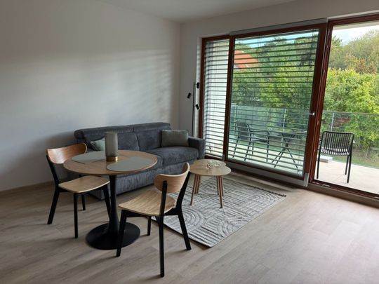 Pronájem bytu 1+kk • 33 m² bez realitkyLučištníků, Praha - Radlice - Photo 1