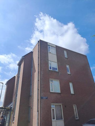 Maison Familiale Rivierenlaan 80, Purmerend - À Louer - Photo 5