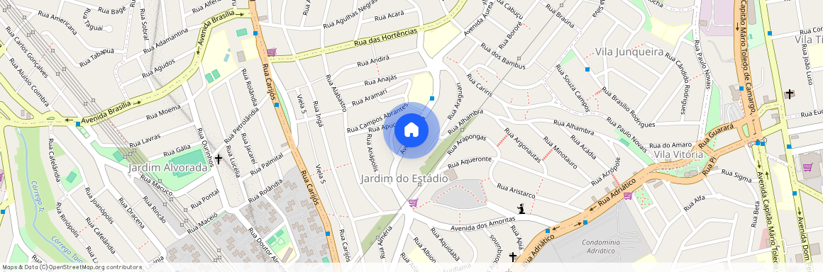 Avenida Áurea - Jardim do Estadio, Santo André - SP