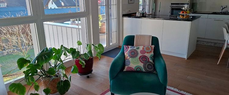 2½ Zimmer-Wohnung in Oberbipp (SO), möbliert, auf Zeit - Photo 1