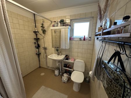 Nygatan, Trädet - Foto 5