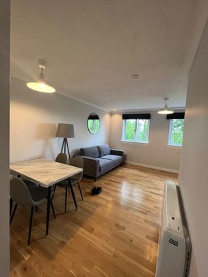 1 Bed Flat, North Frederick Path, G1 - Photo 1