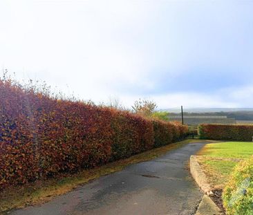 2 bedroom house to rent - Photo 6