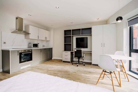 Large Deluxe Studios - Photo 4