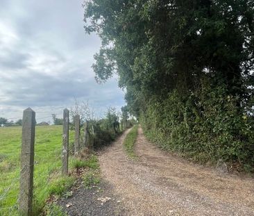 ICKLESHAM, EAST SUSSEX - Photo 5