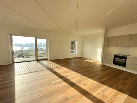 Moderne 3-værelses lejlighed med udsigt i Nørresundby - Photo 1