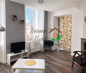 Location Appartement 1 pièce 32m² PELUSSIN 42410 - Photo 6