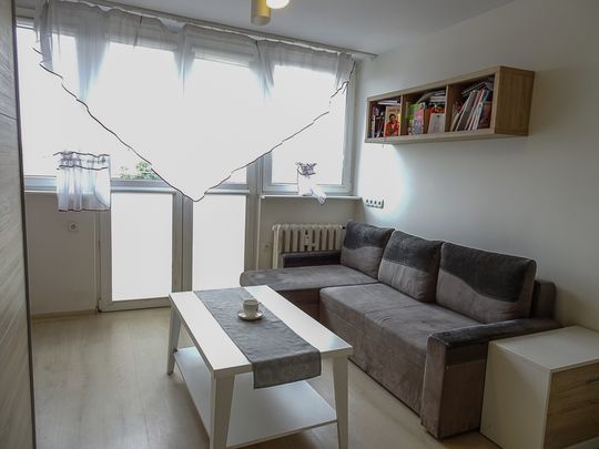 mieszkanie na wynajem - Szczecin, os. Piastowskie, ul. Kazimierza Królewicza - Photo 1