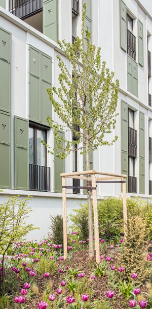 Superbe appartement moderne de 3.5 pièces avec balcon - Photo 1