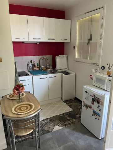 Location Appartement 1 pièce 24m² - Photo 3