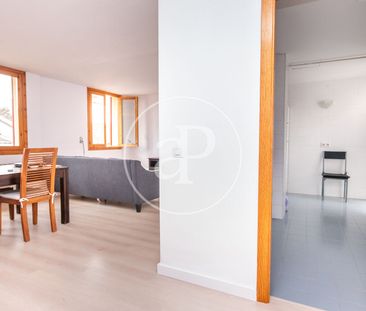 Apartment for rent in Sa Calatrava - Photo 2