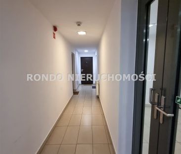 Wrocław, Stare Miasto - Фото 3