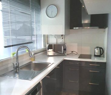 Location Appartement 1 pièce 36m² VILLEURBANNE 69100 - Photo 4