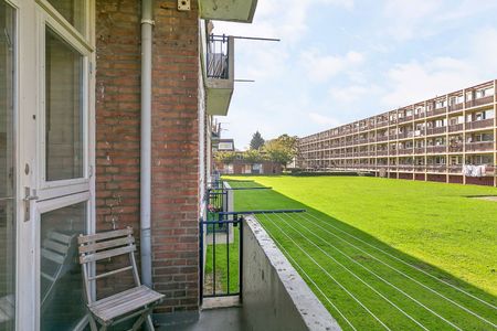 Te huur: Appartement Ellewoutsdijkstraat in Rotterdam - Photo 2