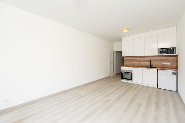 Pronájem bytu 1+kk a garsoniéry 33 m², Gerstelova, Praha - Photo 1