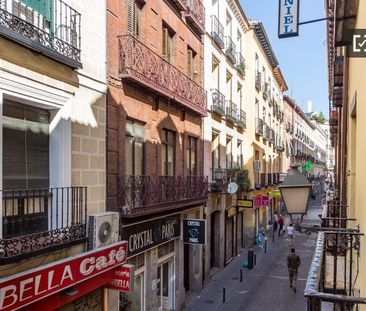 madrid, Community of Madrid 28012 - Photo 2