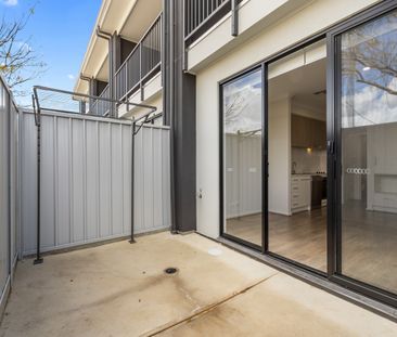 14 Olley Place - Photo 2