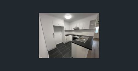 Newly Renovated Delight - Photo 4