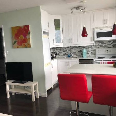 Downtown Furnished Studio Condo for Rent - Photo 4