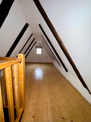 À louer : Appartement en duplex meublé de 2 pièces au coeur de Colmar - Photo 1