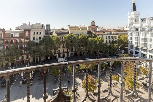 Spacious room in Plaza de Santa Ana - Photo 1