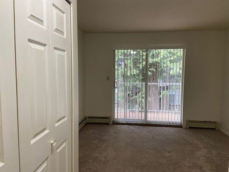 MAYFAIR VILLAGE WEST 1BD/1BA - Photo 2