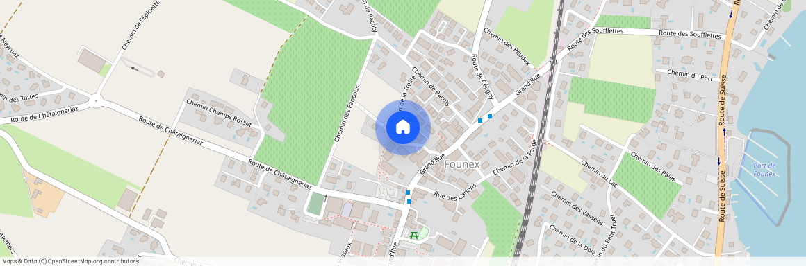 1297, Founex, Chemin de la Treille, 7C