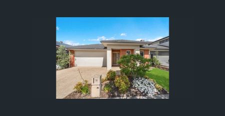 IMMACULATE 4 BEDROOM HOUSE IN CRANBOURNE NORTH! - Photo 2