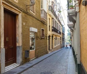 Alquiler de piso en Calle Antonio López, 18 a - Photo 3