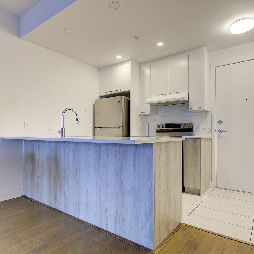 Condo for rent, Montréal (Villeray/Saint-Michel/Parc-Extension) - Photo 1