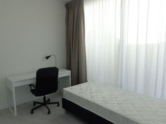Te huur: Kamer Kloosterdreef in Eindhoven - Photo 1