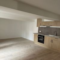 Location Appartement 2 pièces 51m² CHARLIEU 42190 - Photo 3