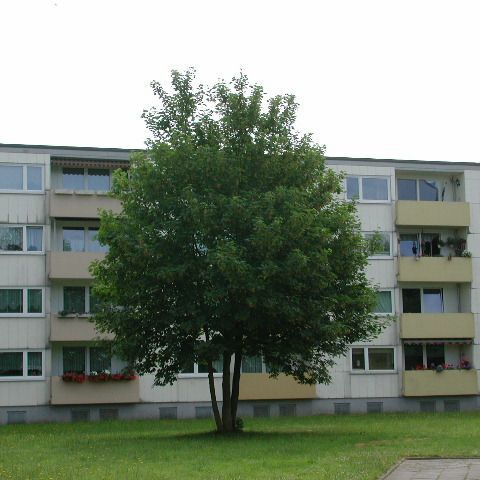 schöne 3-Zimmer-Wohnung mit Vollbad und Balkon - Foto 1