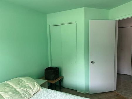 375 Av. du Mont Royal O. - Photo 4