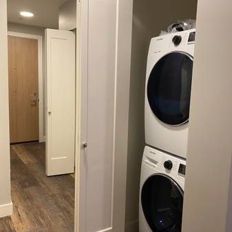 Upscale Living at The Hub at Central Park Village - Photo 4