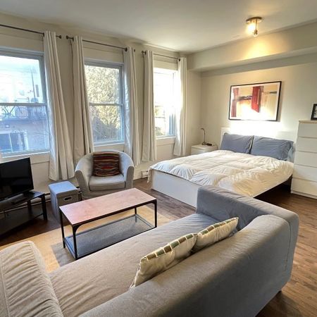 Logement lumineux et tranquille à louer – Vieux-Rosemont / Promenade Masson - Photo 4