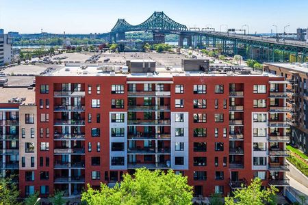 2130 Rue Laforce, Montréal, QC - Photo 4