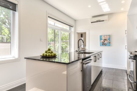 Condo for rent, Montréal (Le Plateau-Mont-Royal) - Photo 2