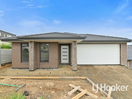 Brand New Four Bedroom Home! - Photo 2