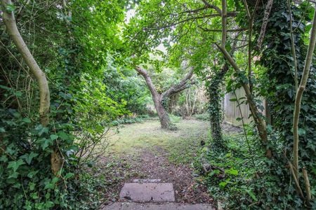 High Street, Cherry Hinton, Cambridge - Photo 5