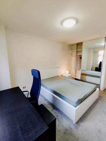 3 bed 2 bath-86 - Photo 4