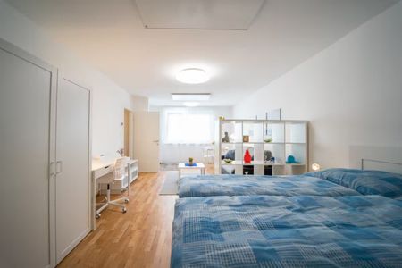 ALL INCLUSIVE // Stylish Studio Apartment near City Center - Photo 5