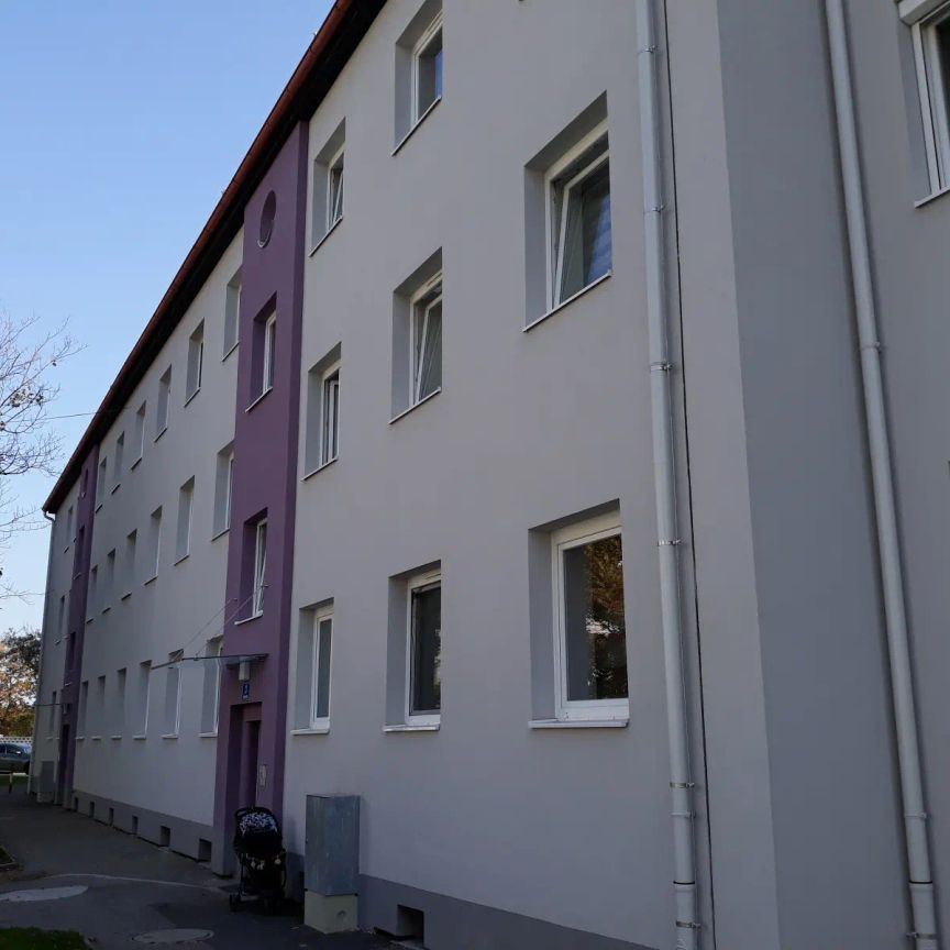 3-Zimmer-Wohnung, Top 204 - Photo 1