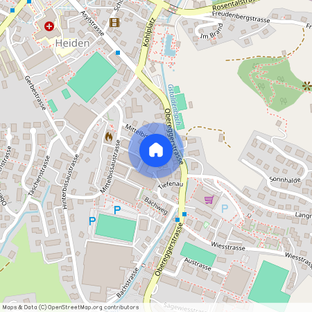 9410, Heiden, Mittelbissauweg, 10