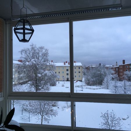 Rågången, Umeå - Photo 1