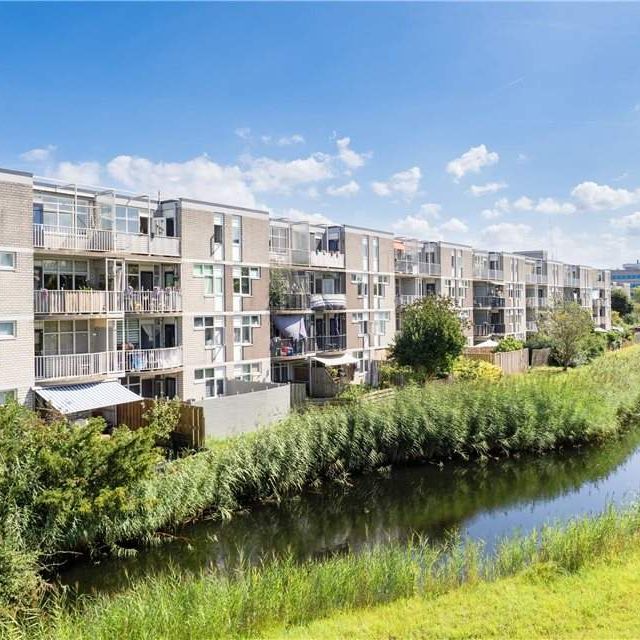 Appartement Grietenij 16, Stadshart, Lelystad - À Louer - Foto 1
